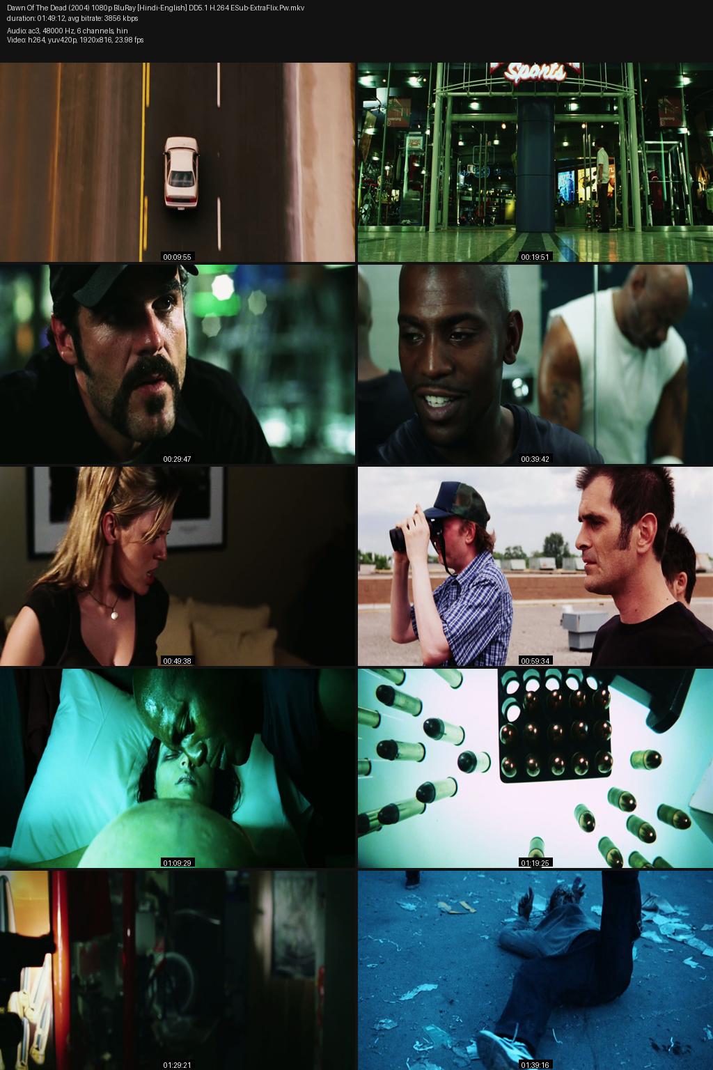 Dawn of the Dead (2004) [Hindi-English] 1080p 720p 480p BluRay ESub Screenshots