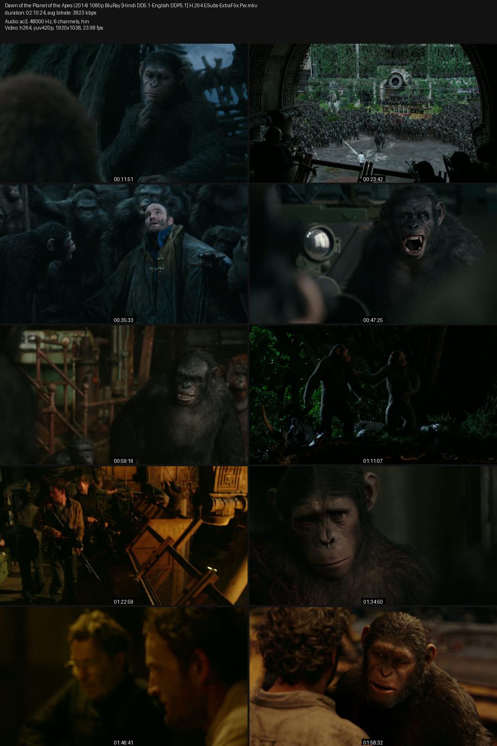 Dawn of the Planet of the Apes (2014) [Hindi-English] 1080p 720p 480p BluRay ESubs Screenshots