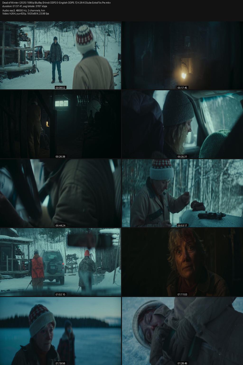 Dead of Winter (2025) [Hindi-English] 1080p 720p 480p BluRay ESubs Screenshots