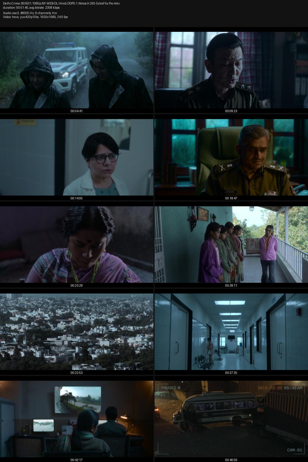 Delhi Crime Season 3 (2025) [Hindi] 4K 2160p 1080p 720p 480p Netflix WEB-DL ESubs Screenshots