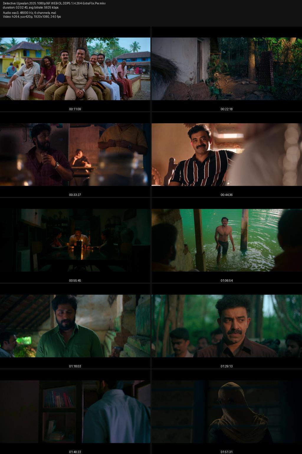 Detective Ujjwalan (2025) [Hindi-Malayalam] UNCUT 4K 2160p 1080p 720p 480p Netflix WEB-DL ESub Screenshots