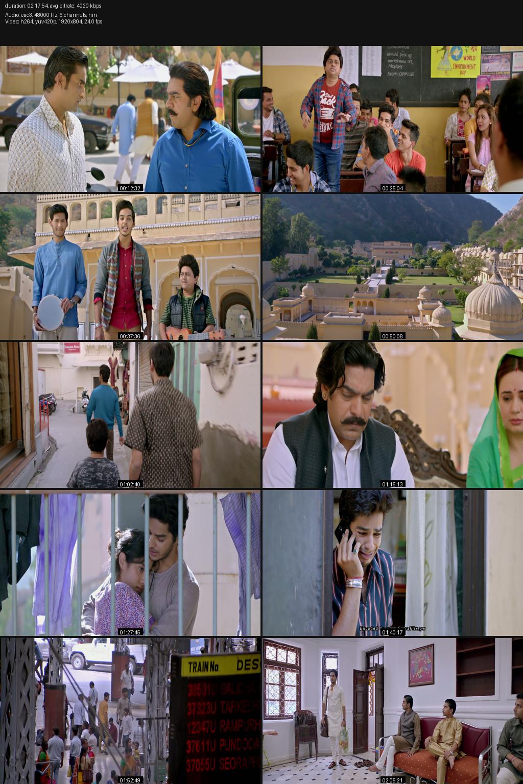 Dhadak (2018) Hindi 1080p 720p 480p BluRay ESubs Screenshots