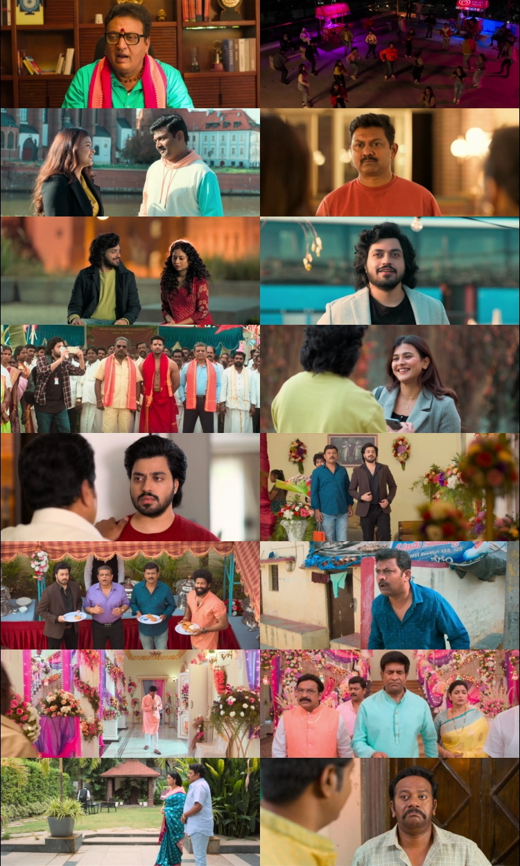 Dhoom Dhaam (2024) 1080p | 720p | 480p WEB-HDRip [Hindi (हिन्दी) + Telugu] DD2.0 ESub Screenshots