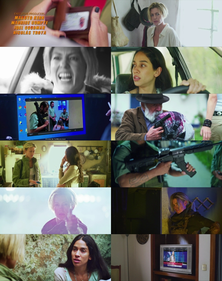Dominique (2024) 1080p | 720p | 480p WEB-HDRip [Hindi (हिन्दी) + English] DD5.1 ESub Screenshots