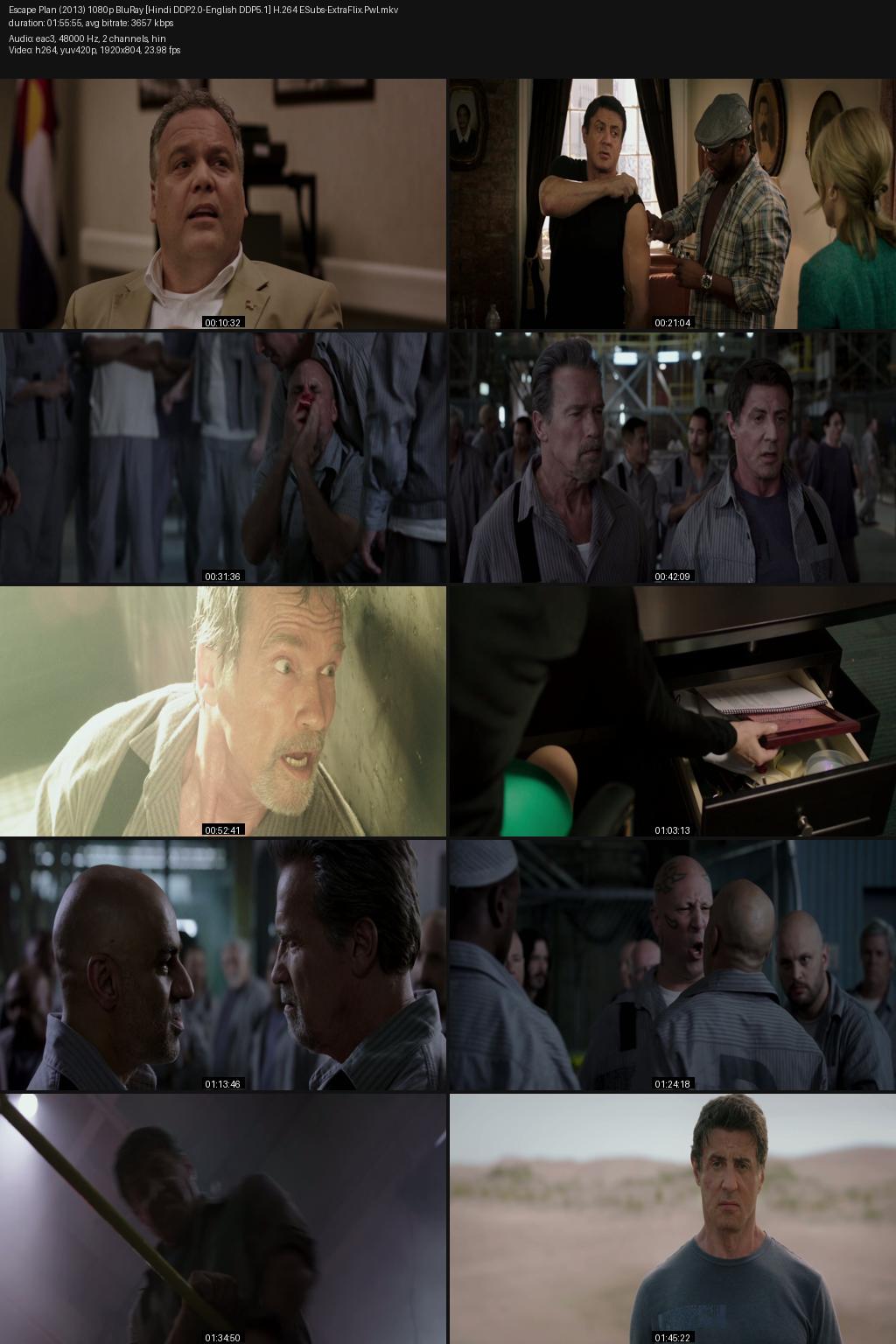 Escape Plan (2013) [Hindi-English] 1080p 720p 480p BluRay ESubs Screenshots