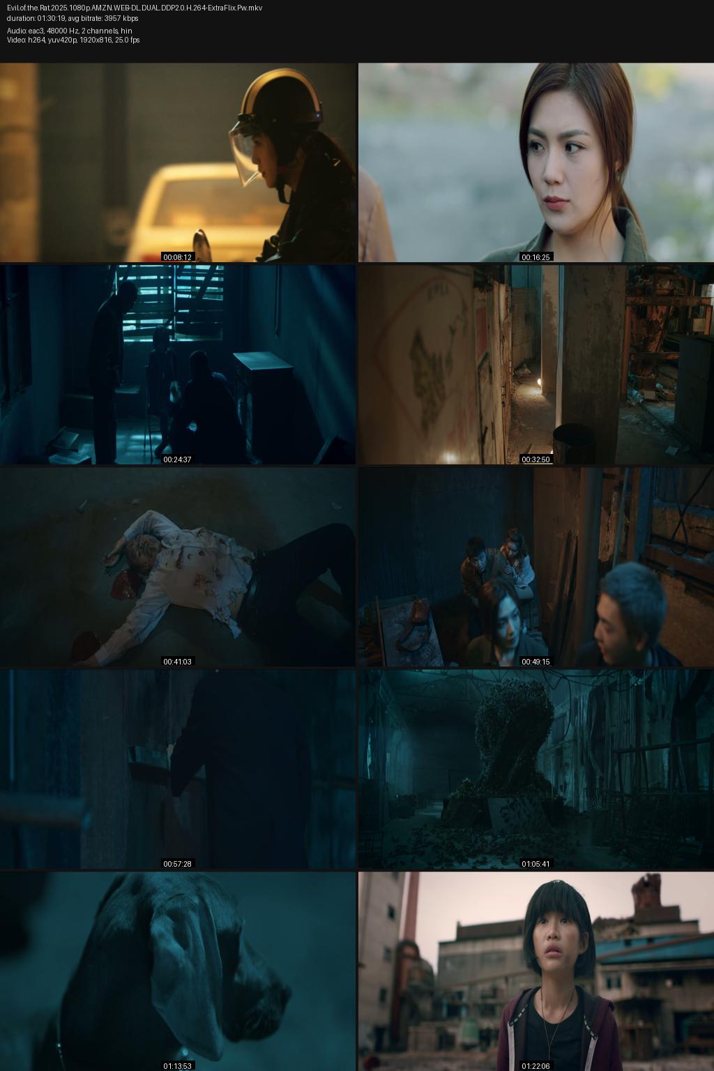 Evil of the Rat (2025) [Hindi-Chinese] 1080p 720p 480p Amazon WEB-DL ESub Screenshots