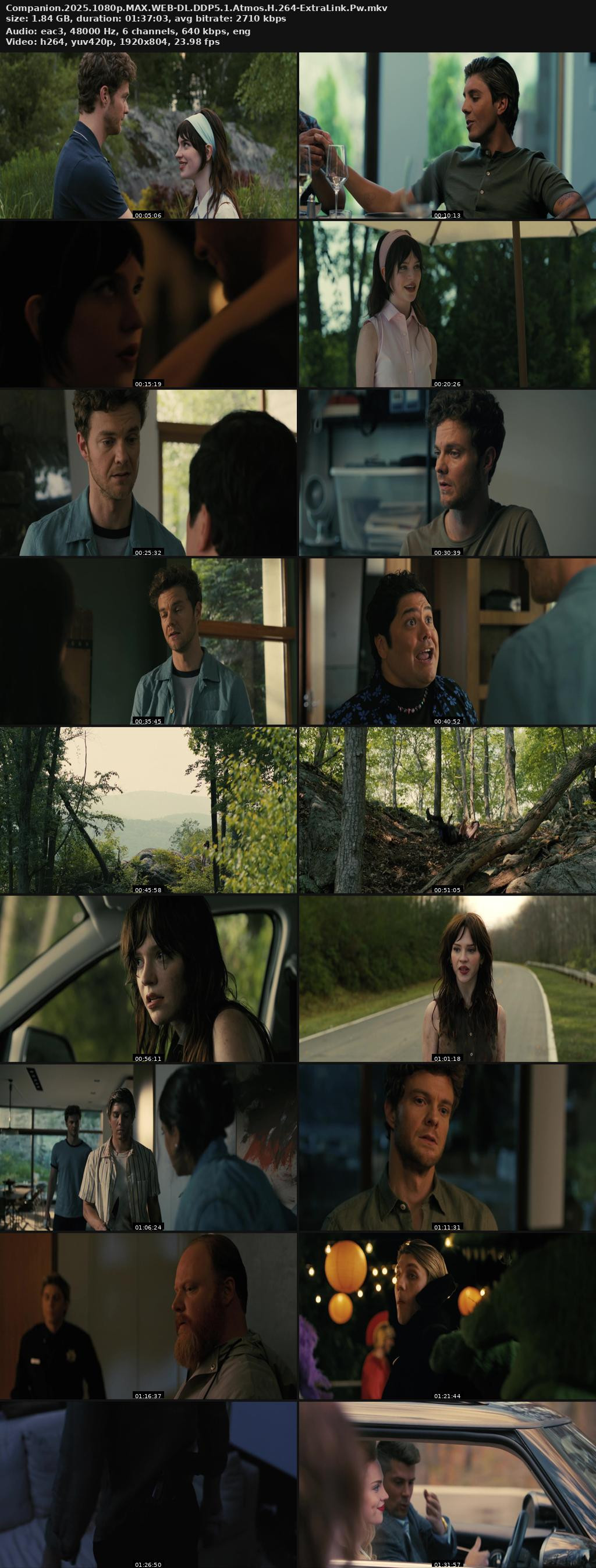 Companion (2025) 4K 2160p | 1080p | 720p | 480p MAX WEB-DL [English] ESubs Screenshots