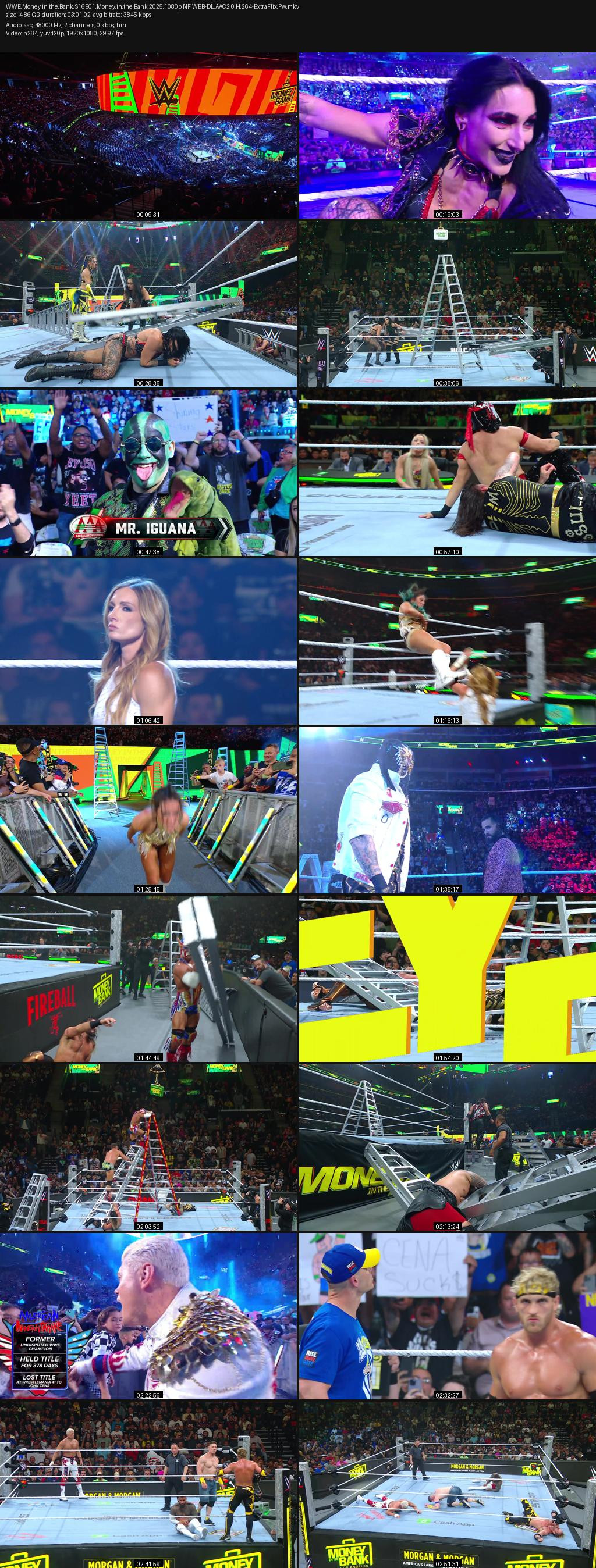 WWE Money in the Bank (2016) Season 16 1080p | 720p | 480p Netflix WEB-DL [Hindi-English] ESubs Screenshots