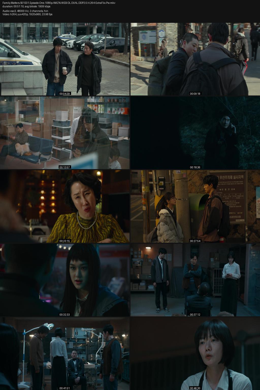 Family Matters aka Family Plan Season 1 (2024) [Hindi-Korean] 1080p 720p 480p Amazon WEB-DL ESub Screenshots