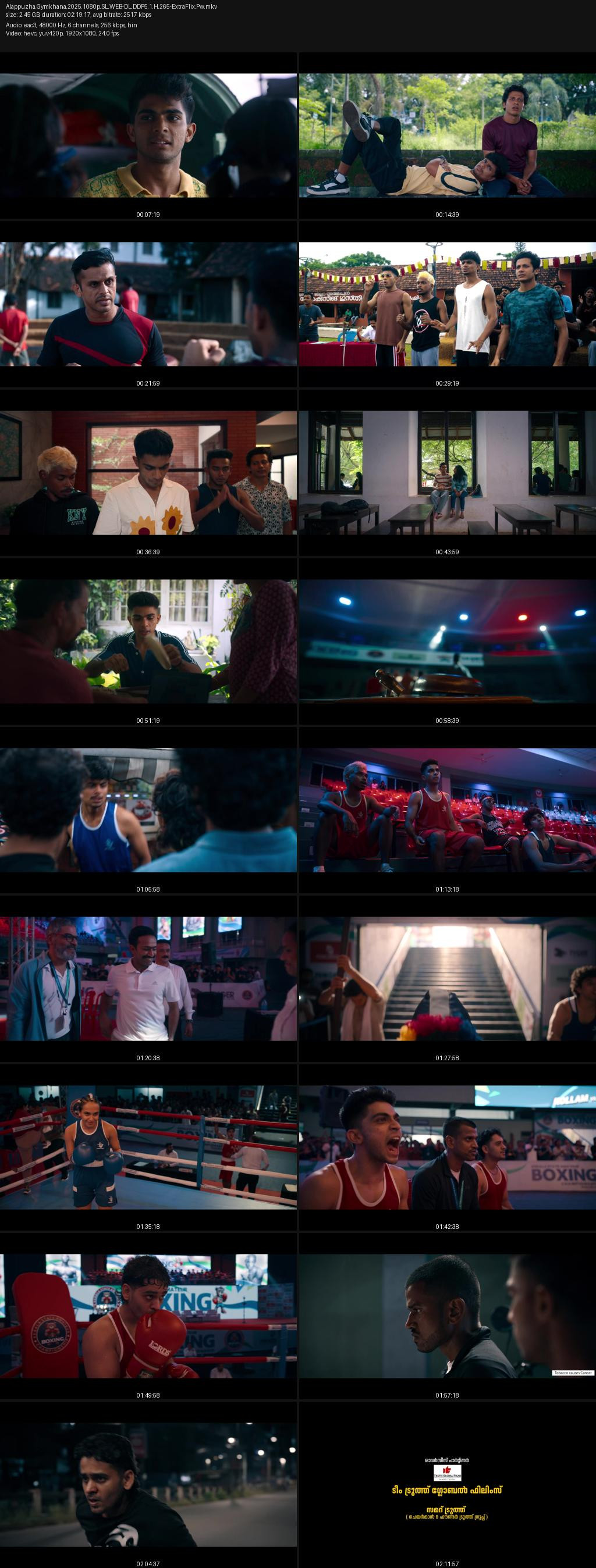 Alappuzha Gymkhana (2025) 4K 2160p | 1080p | 720p | 360p SonyLIV WEB-DL [Hindi-Malayalam] ESub Screenshots