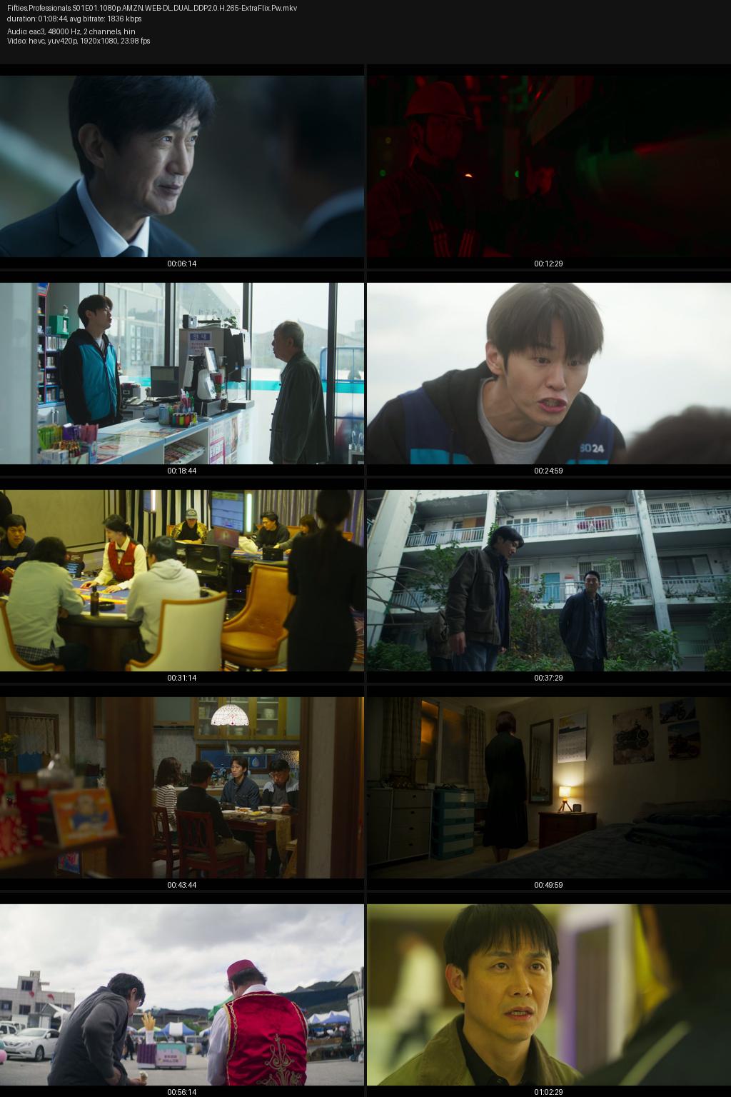 Fifties Professionals Sesaon 1 (2026) [Hindi-Korean] 1080p 720p 480p Amazon WEB-DL ESub Screenshots
