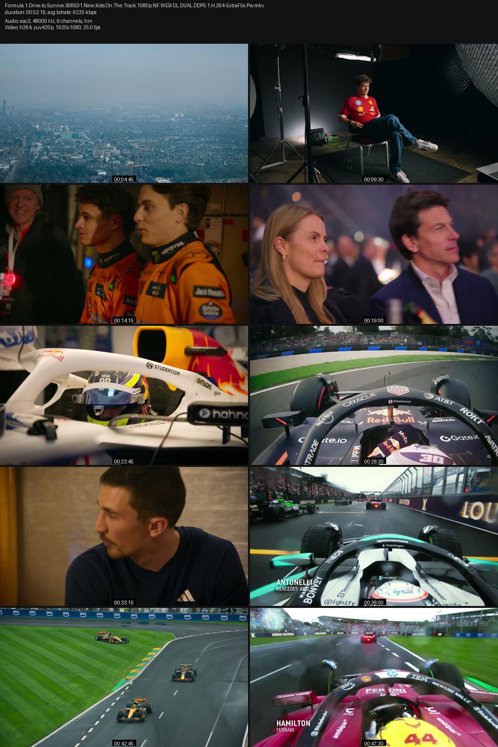 Formula 1: Drive to Survive Season 8 (2026) [Hindi-English] 1080p 720p 480p Netflix WEB-DL ESubs Screenshots