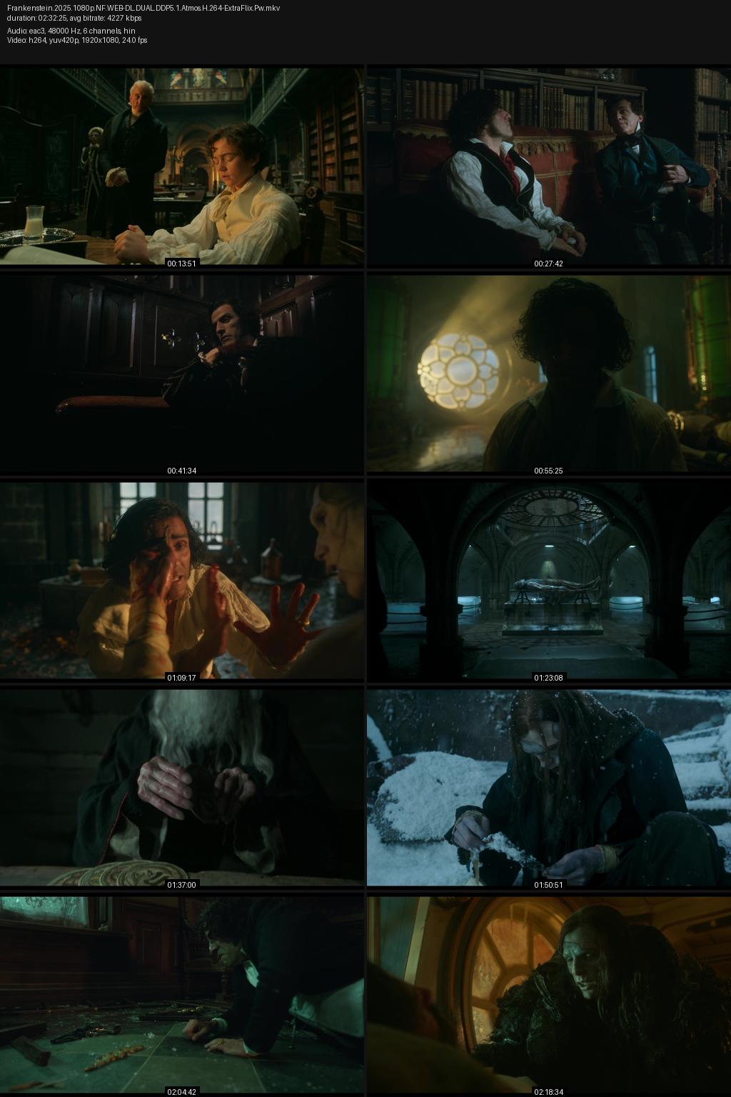 Frankenstein (2025) [Hindi-English] 4K 2160p 1080p 720p 480p Netflix WEB-DL ESubs Screenshots