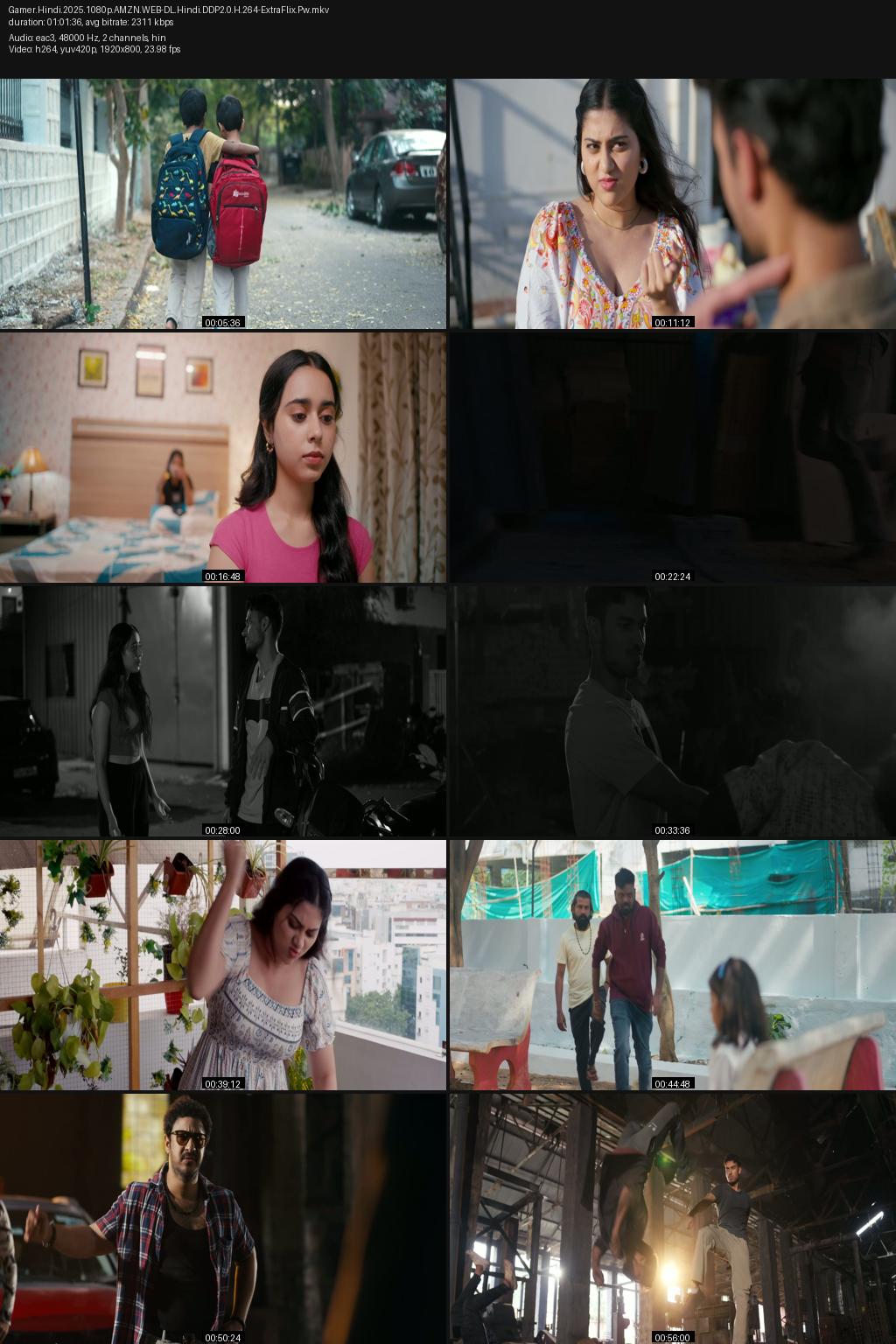 Gamer (2025) [Hindi] 1080p 720p 480p Amazon WEB-DL ESub Screenshots