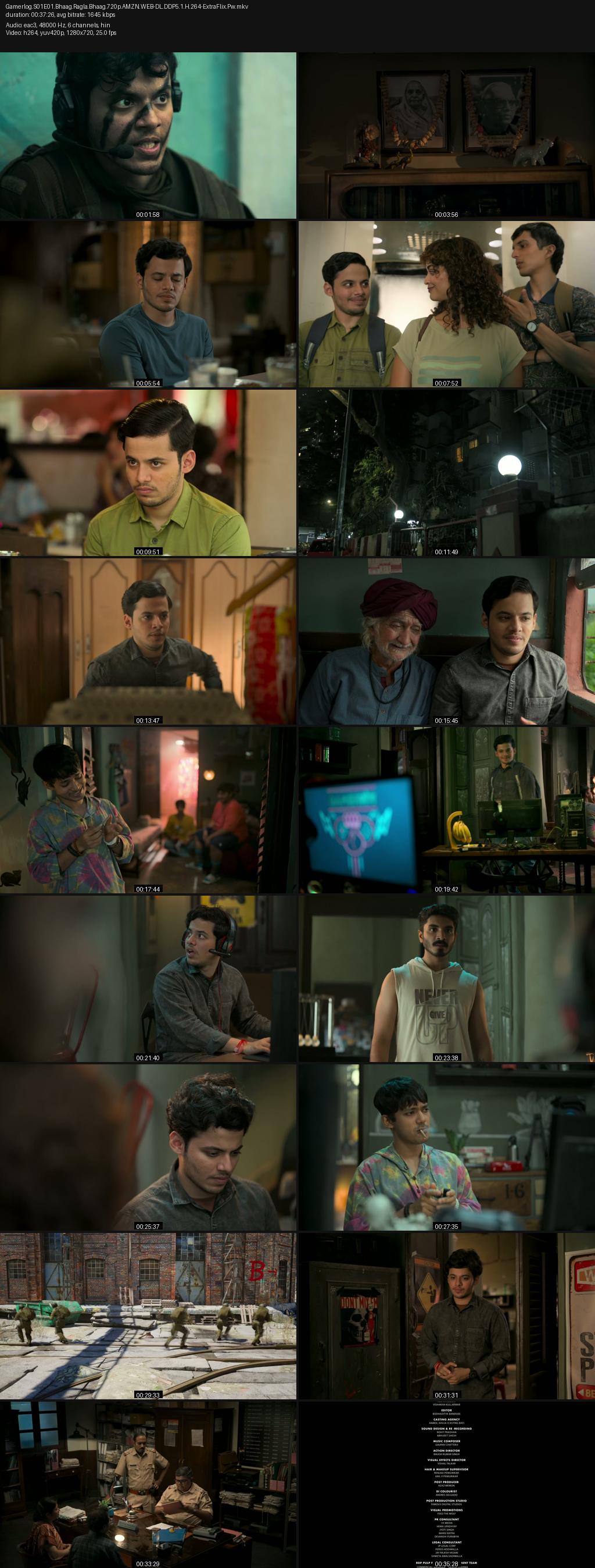 Gamerlog (2025) Season 1 4K 2160p | 1080p | 720p | 480p Amazon WEB-DL Hindi ESub Screenshots