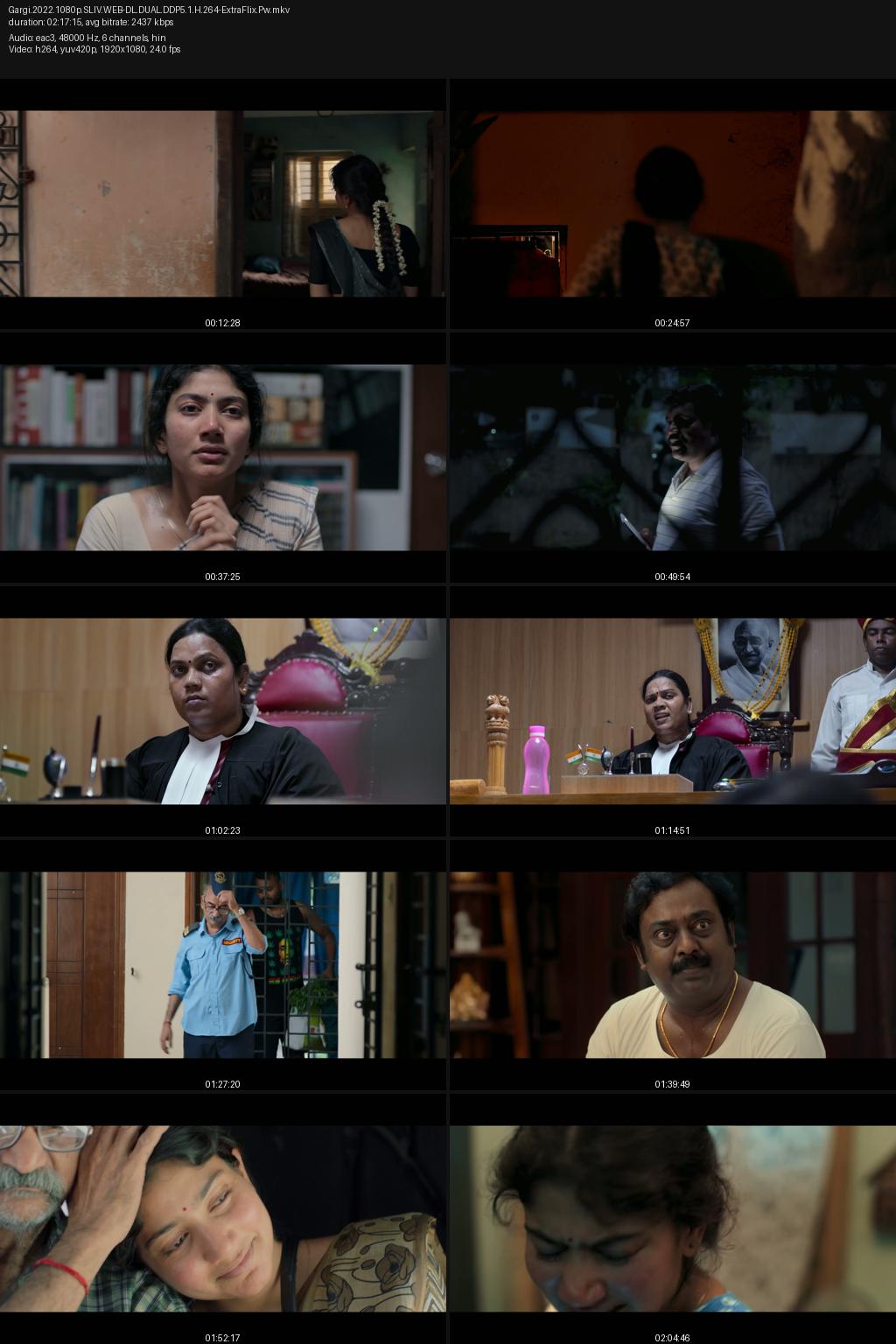 Gargi (2022) [Hindi-Tamil] 4K 2160p 1080p 720p 360p SonyLIV WEB-DL ESub Screenshots