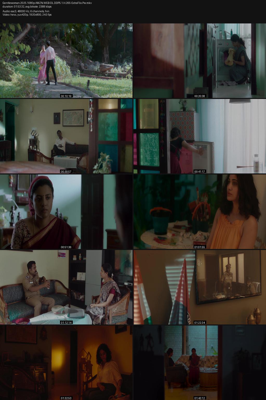 Gentlewoman (2025) [Hindi-Tamil] 1080p 720p 480p Amazon WEB-DL ESub Screenshots
