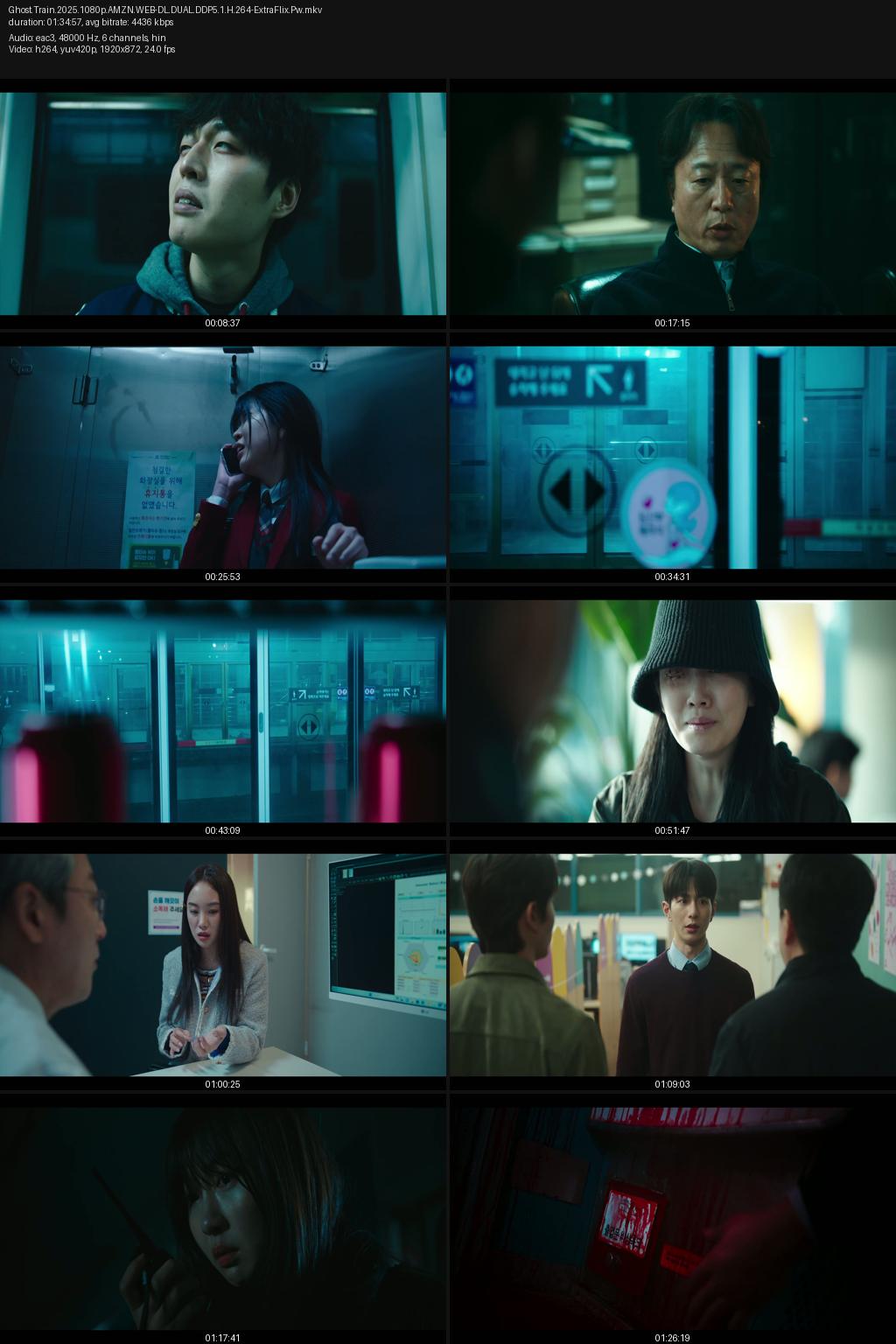 Ghost Train (2025) [Hindi-Korean] 1080p 720p 480p Amazon WEB-DL ESub Screenshots