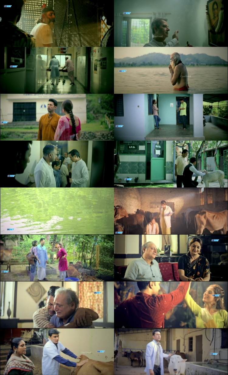 Godaan (2026) 1080p | 720p | 480p HDTC [Hindi (हिन्दी)] DD2.0 Screenshots