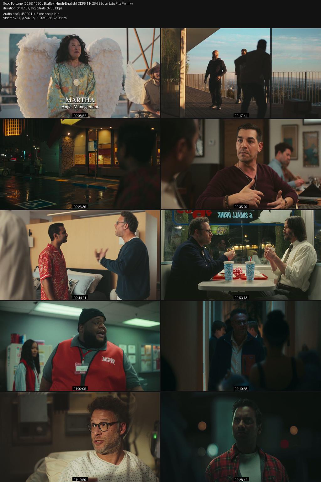 Good Fortune (2025) [Hindi-English] 4K 2160p 1080p 720p 480p BluRay ESubs Screenshots