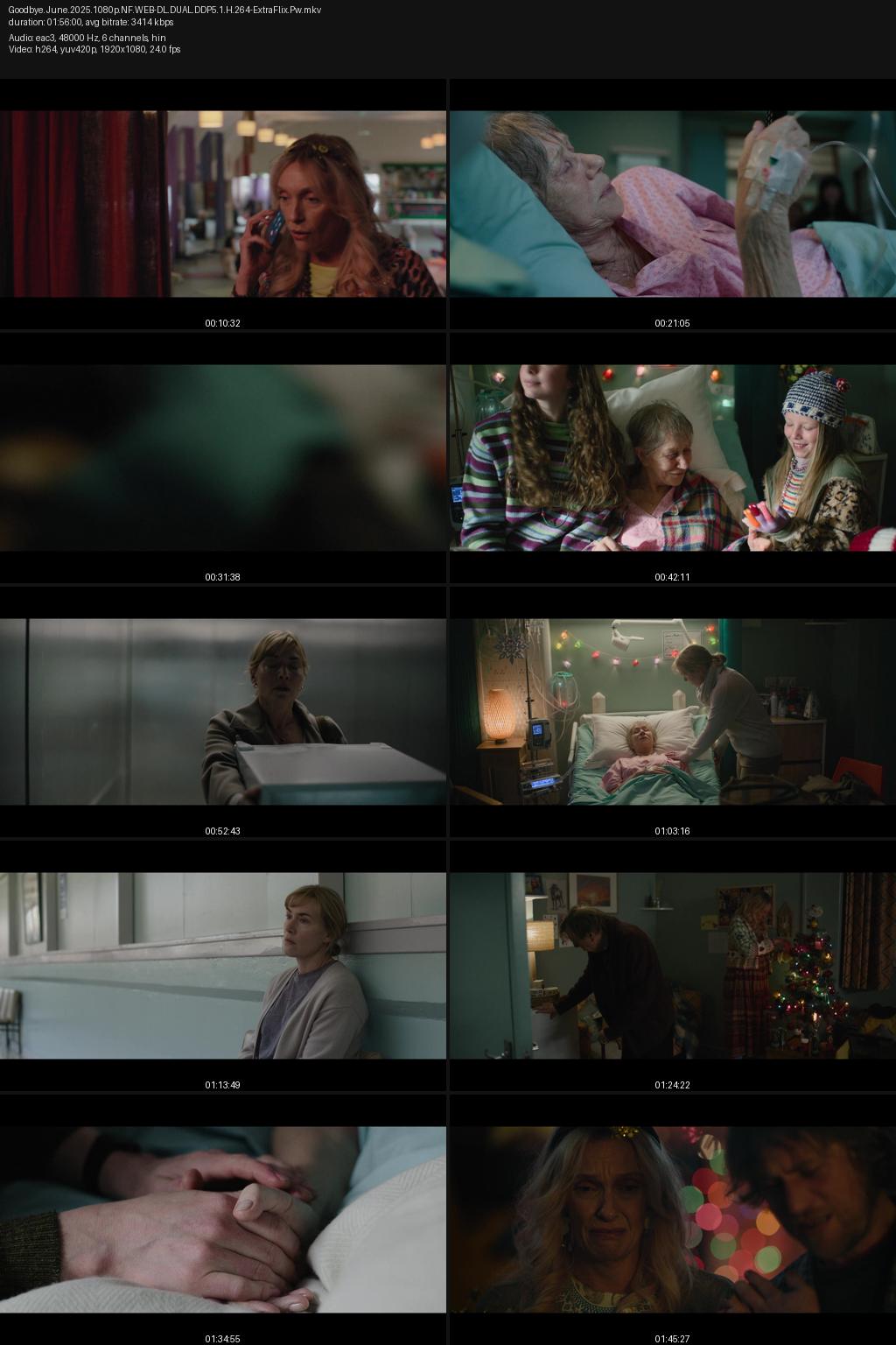 Goodbye June (2025) [Hindi-English] 1080p 720p 480p Netflix WEB-DL ESubs Screenshots