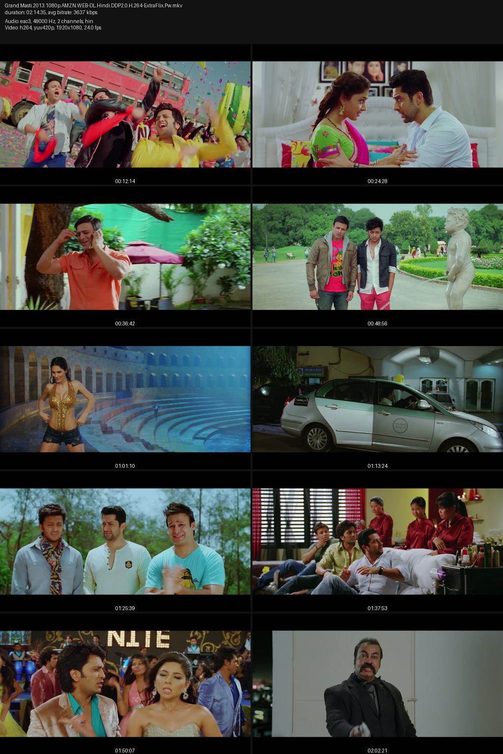 Grand Masti (2013) [Hindi] 1080p 720p 480p Amazon WEB-DL ESub Screenshots