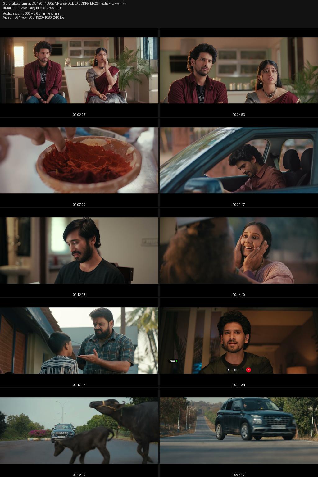 Gurthukosthunnayi Season 1 (2026) [Hindi-Telugu] 4K 2160p 1080p 720p 540p Netflix WEB-DL ESub Screenshots