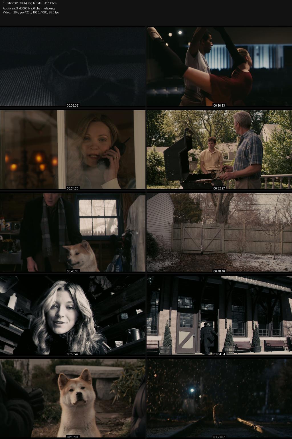 Hachi: A Dog’s Tale (2009) [Hindi-English] 1080p 720p 480p Amazon WEB-DL ESub Screenshots