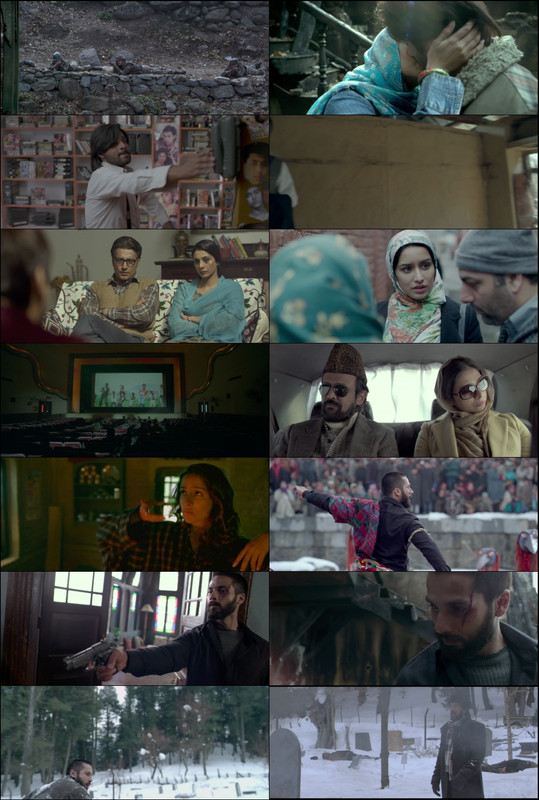Haider (2014) 1080p | 720p | 480p BluRay [Hindi (हिन्दी)] DD5.1 ESub Screenshots