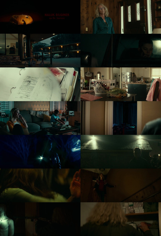 Halloween (2018) 1080p | 720p | 480p BluRay [Hindi (हिन्दी) + English] DD5.1 ESub Screenshots