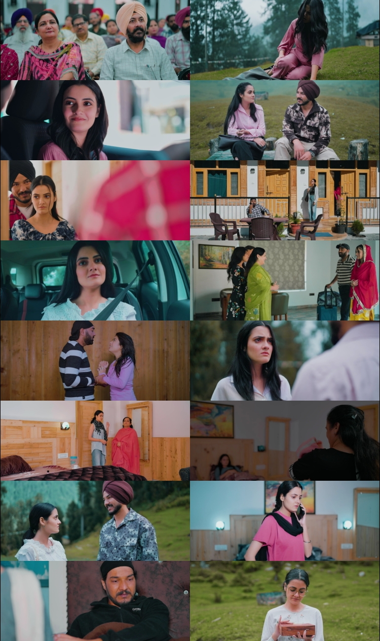 Hara Chura (2025) 1080p | 720p | 480p BluRay [Punjabi (ਪੰਜਾਬੀ)] DD2.0 ESub Screenshots