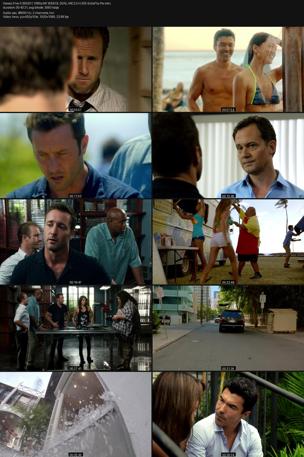 Hawaii Five-0 Season 5 (2014) [Hindi-English] 1080p 720p 480p Netflix WEB-DL ESubs Screenshots
