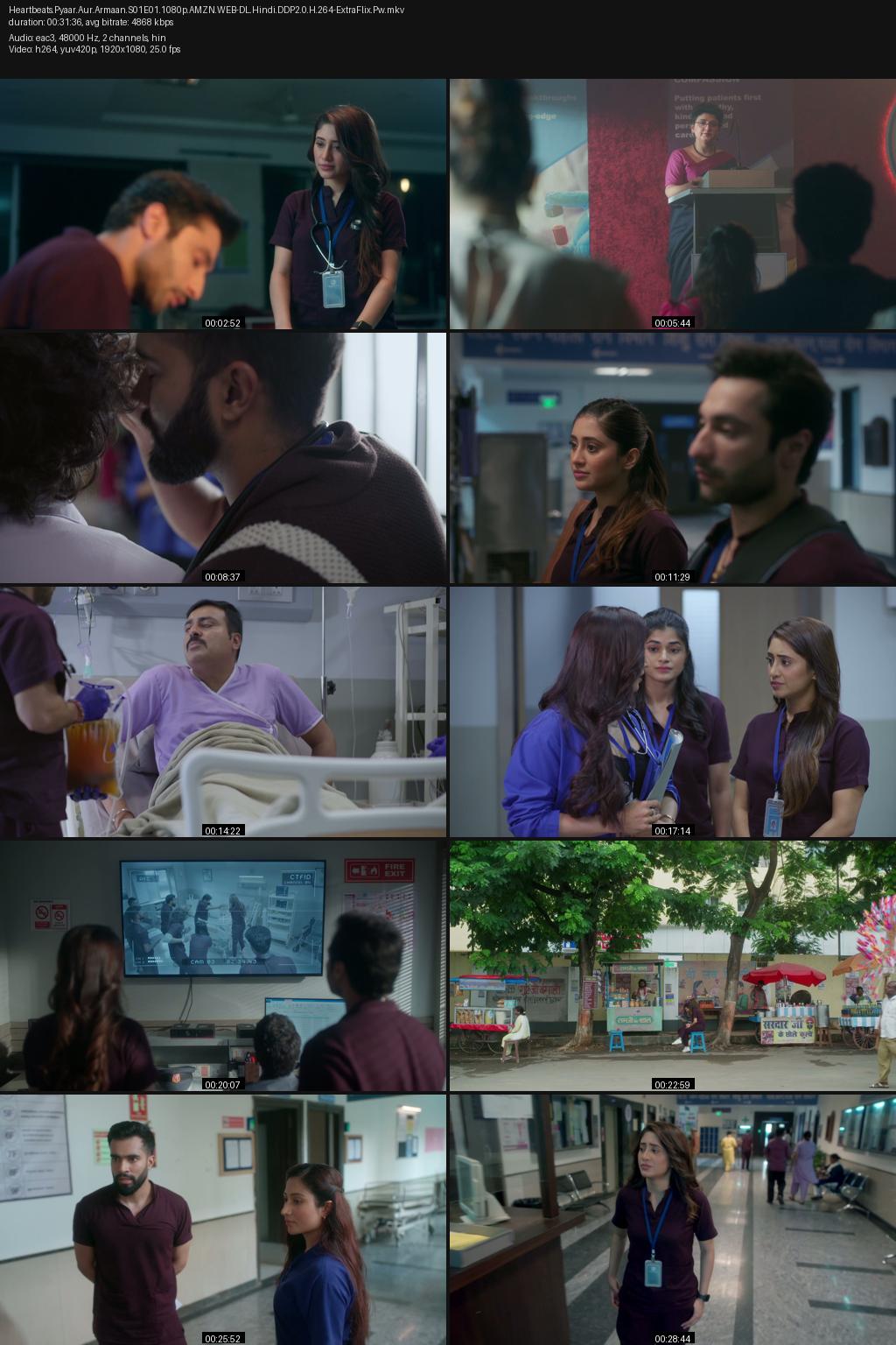 Heartbeats: Pyaar aur Armaan Season 1 (2024) [Hindi] 1080p 720p 480p Amazon WEB-DL ESub Screenshots