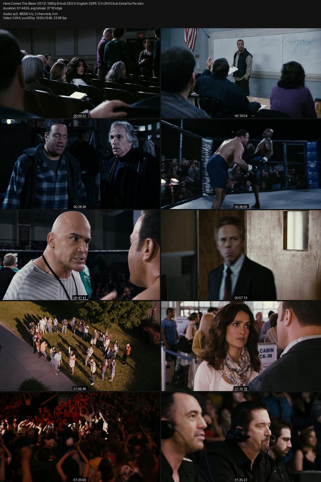 Here Comes the Boom (2012) [Hindi-English] 1080p 720p 480p BluRay ESub Screenshots