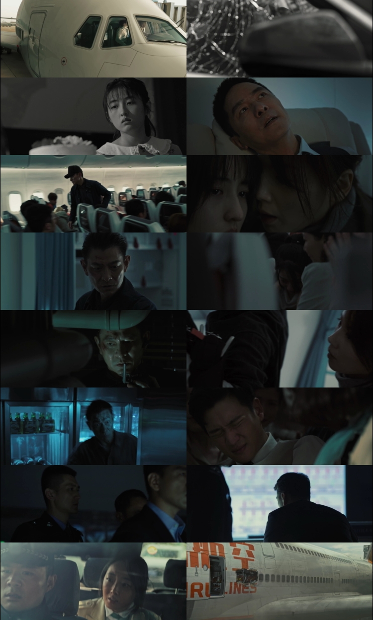 High Forces (2024) 1080p | 720p | 480p WEB-HDRip [Hindi (हिन्दी) China] DD5.1 ESubs Screenshots
