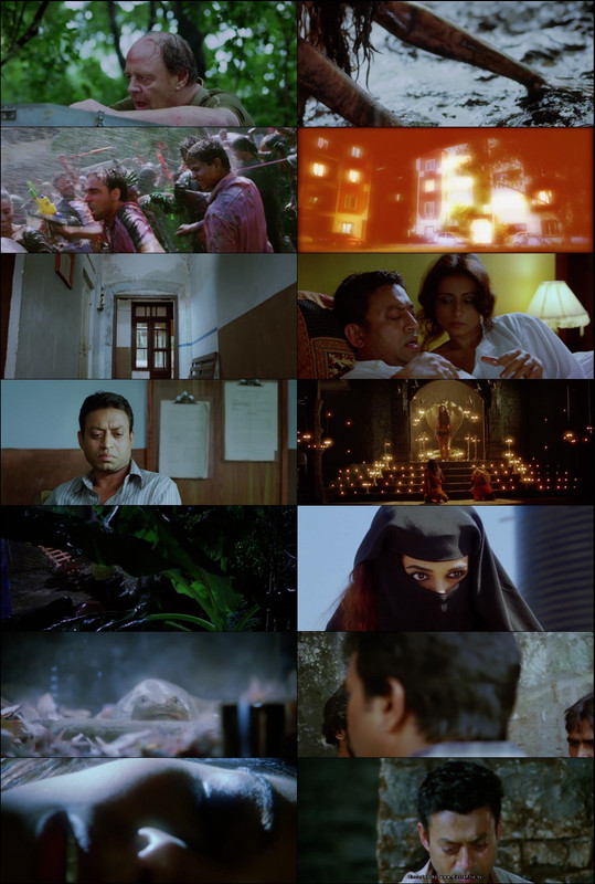 Hisss (2010) 1080p | 720p | 480p WebRip [Hindi (हिन्दी)] DD5.1 ESub Screenshots
