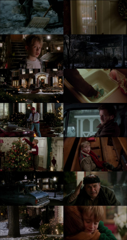 Home Alone (1990) 1080p | 720p | 480p BluRay [Hindi (हिन्दी) + English] DD5.1 ESub Screenshots