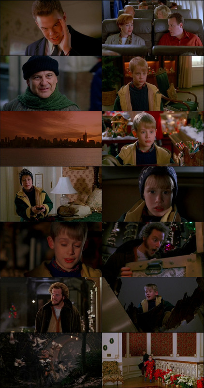 Home Alone 2: Lost in New York (1992) 1080p | 720p | 480p BluRay [Hindi (हिन्दी) + English] DD5.1 ESub Screenshots