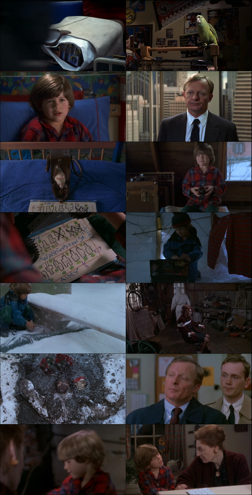 Home Alone 3 (1997) 1080p | 720p | 480p WebRip [Hindi (हिन्दी) + English] DD5.1 ESub Screenshots