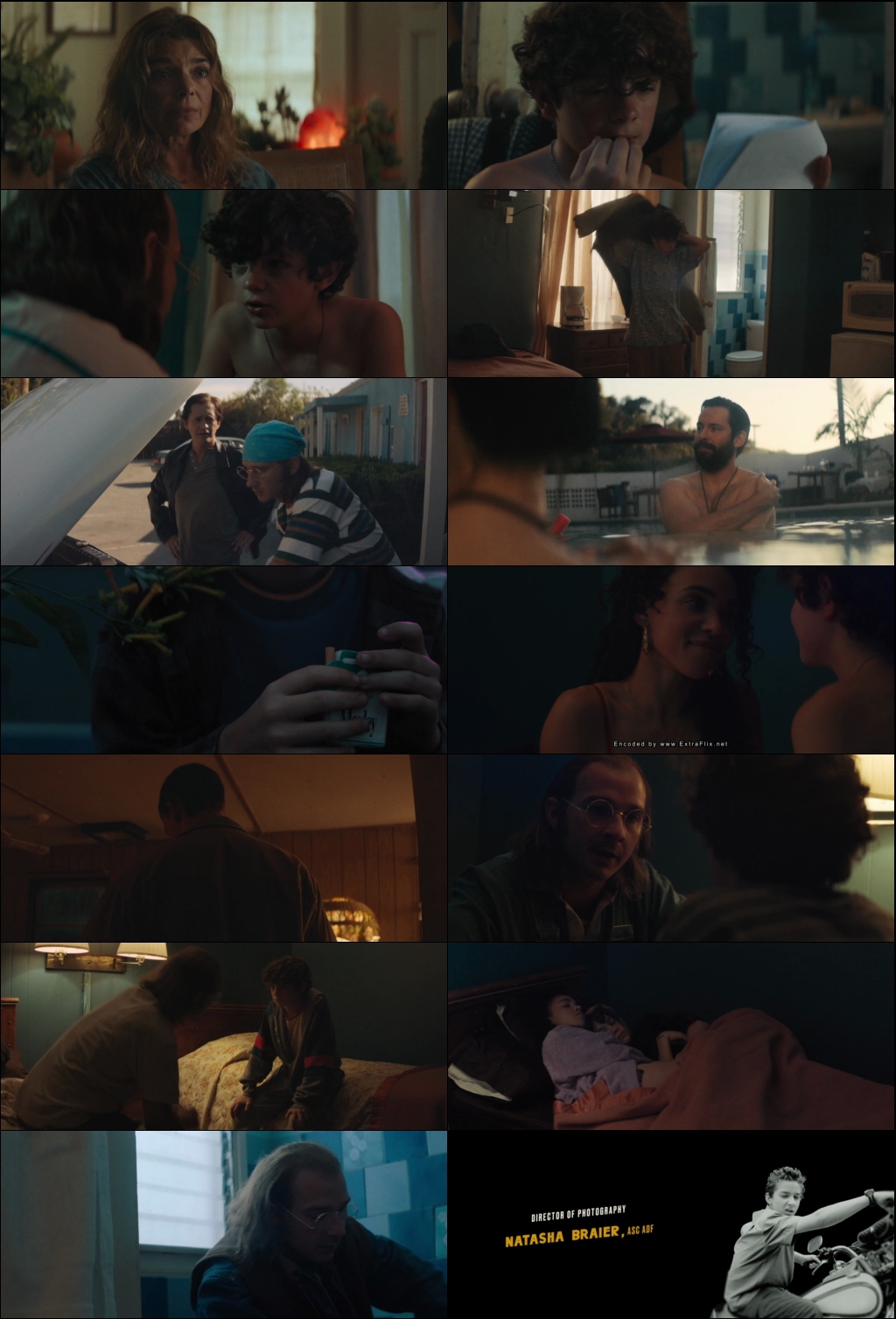 Honey Boy (2019) 1080p | 720p | 480p BluRay [Hindi (हिन्दी) + English] DD5.1 ESub Screenshots