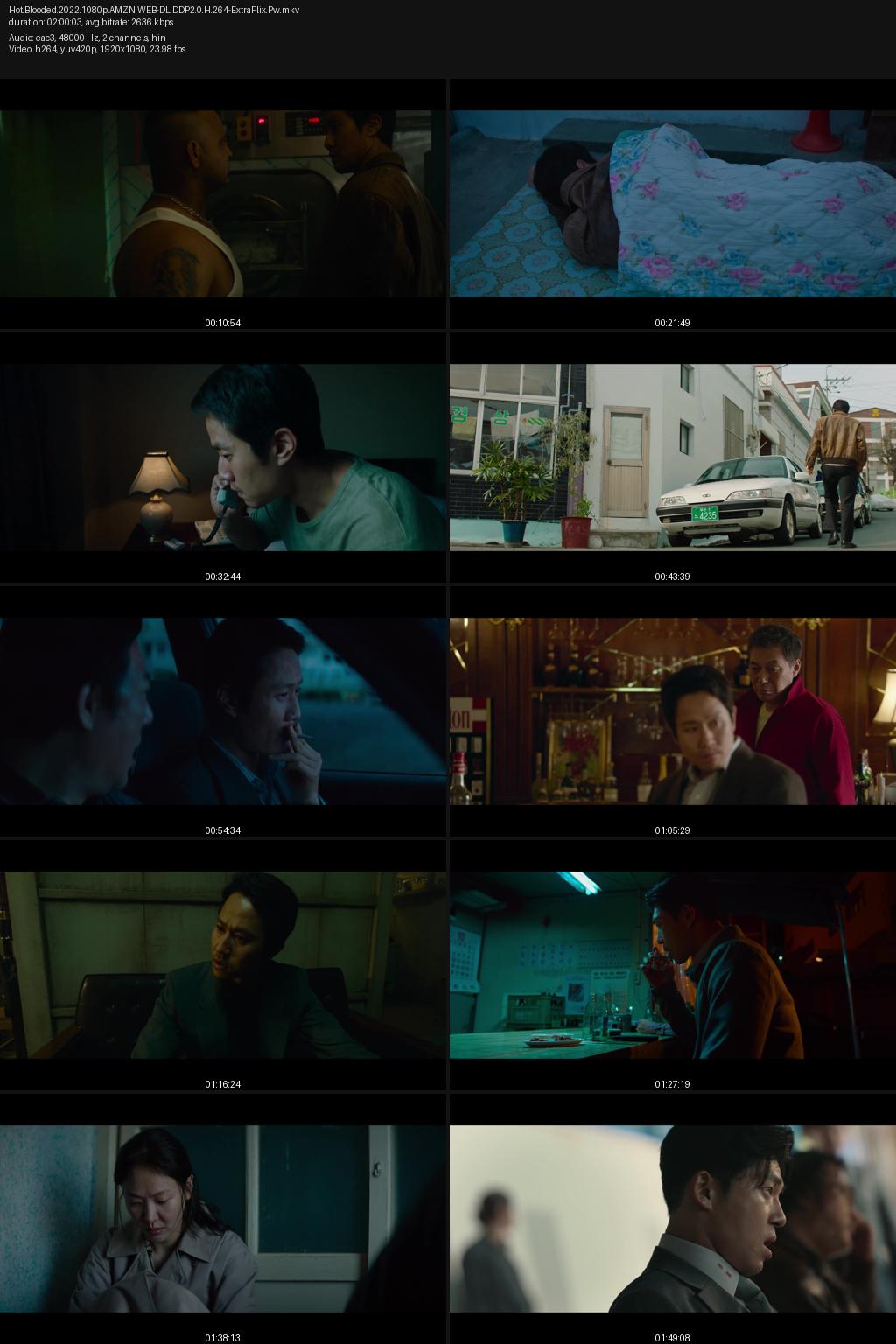 Hot Blooded (2022) [Hindi-Korean] 1080p 720p 480p Amazon WEB-DL ESub Screenshots
