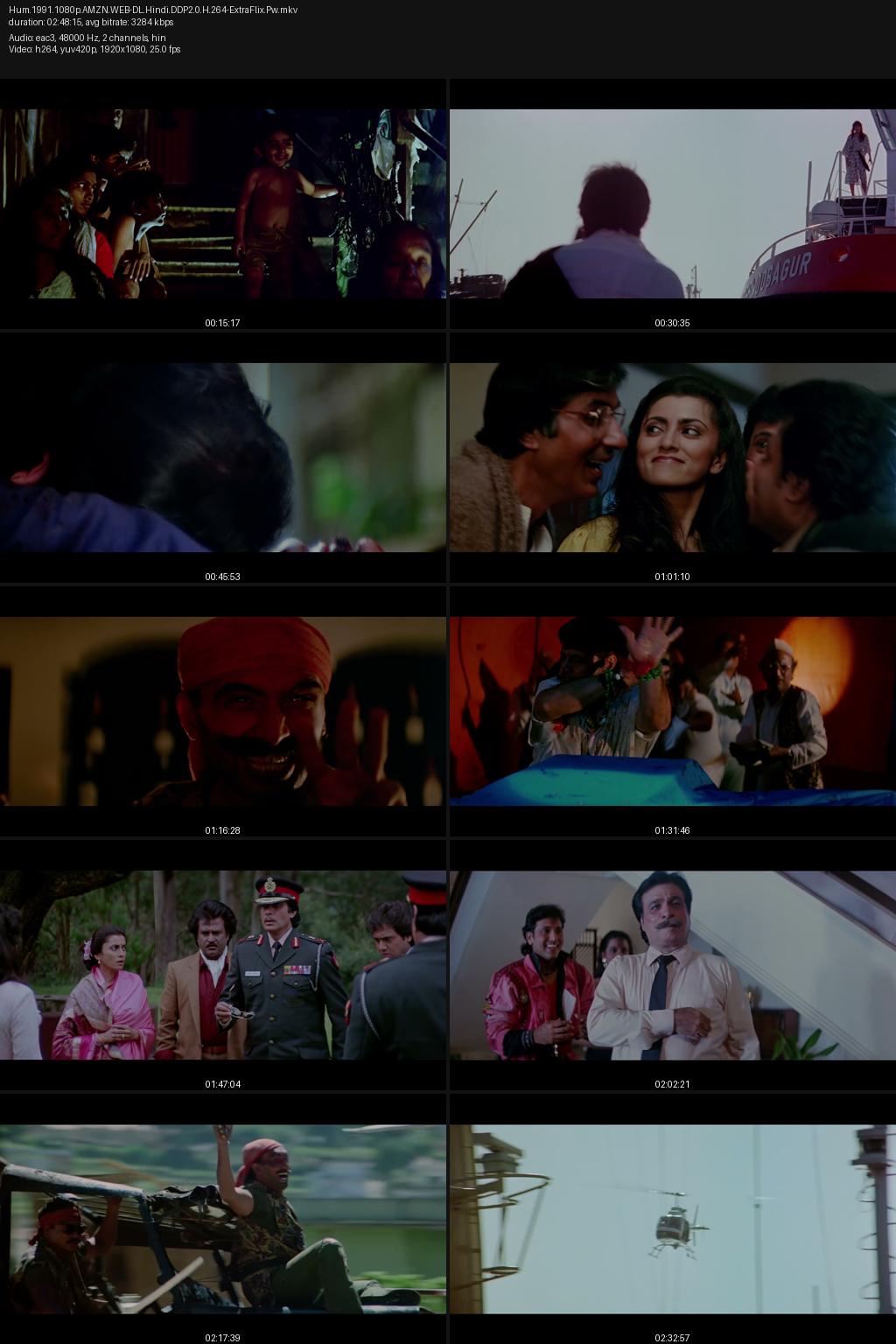 Hum (1991) [Hindi] 1080p 720p 480p Amazon WEB-DL ESub Screenshots