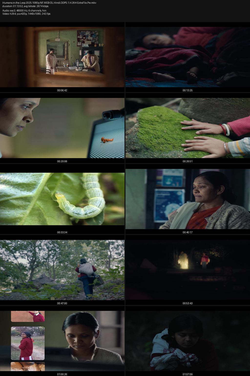 Humans in the Loop (2025) [Hindi] 4K 2160p 1080p 720p 480p Netflix WEB-DL ESub Screenshots