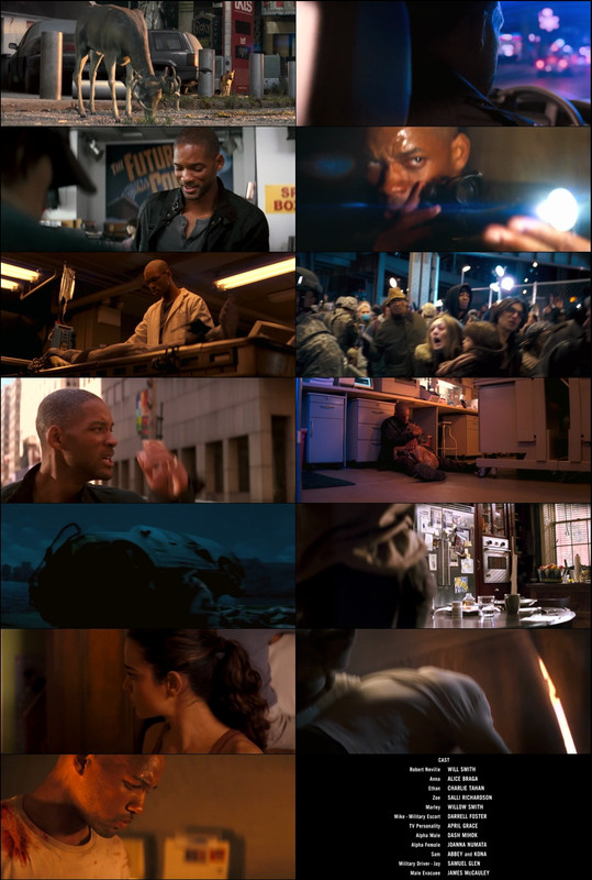 I Am Legend (2007) 1080p | 720p | 480p BluRay [Hindi (हिन्दी) + English] DD5.1 ESub Screenshots