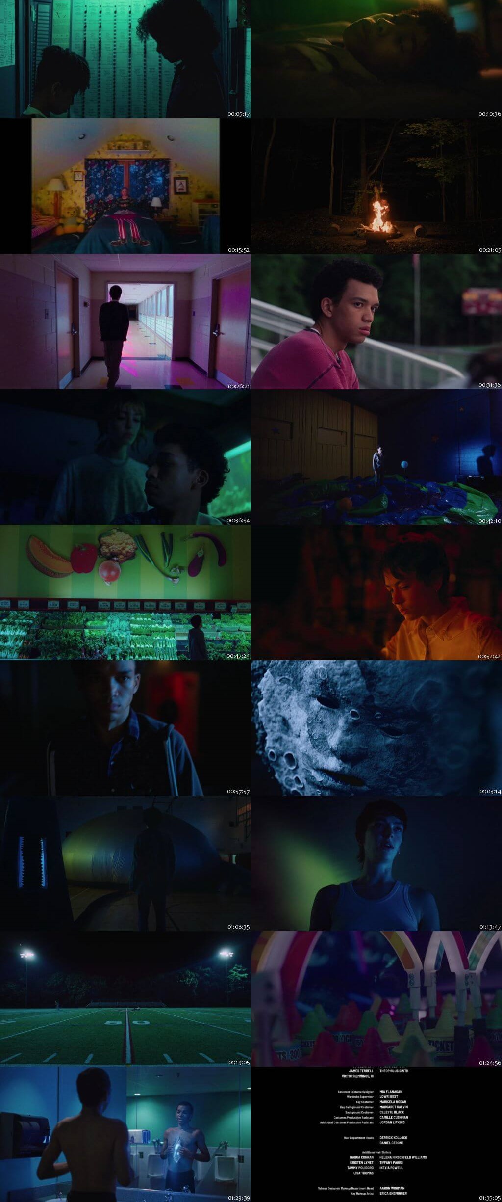 I Saw the TV Glow (2024) 1080p | 720p | 480p BluRay [Hindi (हिन्दी) English] DD5.1 ESubs Screenshots