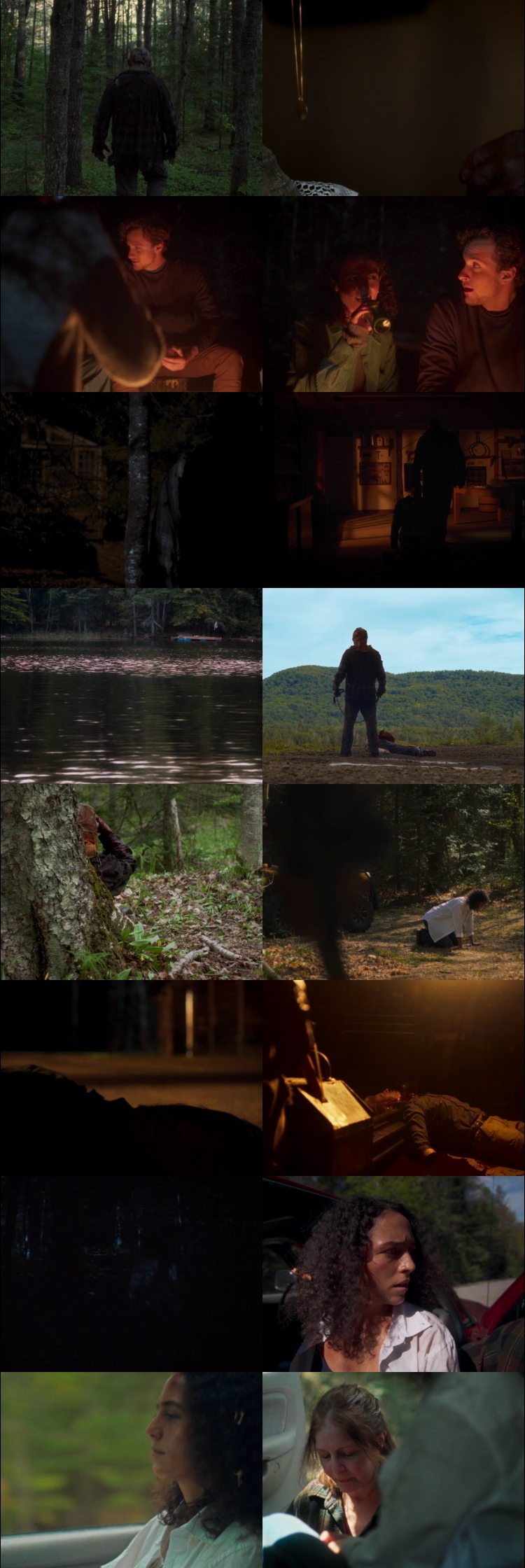 In A Violent Nature (2024) 1080p | 720p | 480p WEB-HDRip [Hindi (हिन्दी) + English] DD5.1 ESub Screenshots