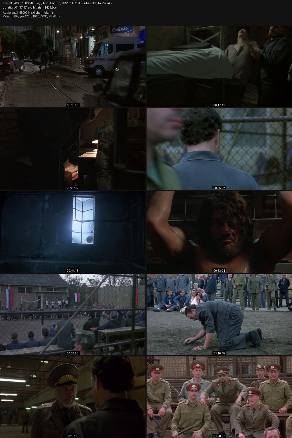 In Hell (2003) [Hindi-English] 1080p 720p 480p BluRay ESubs Screenshots