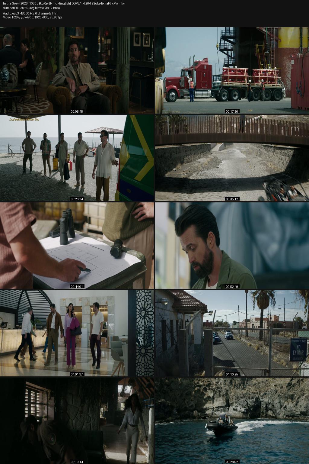 In the Grey (2026) [Hindi-English] 4K 2160p 1080p 720p 480p BluRay ESubs Screenshots