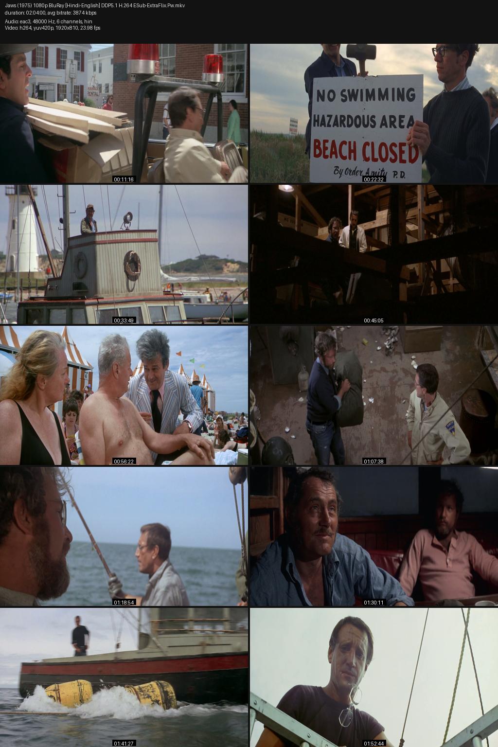 Jaws (1975) [Hindi-English] 1080p 720p 480p BluRay ESub Screenshots