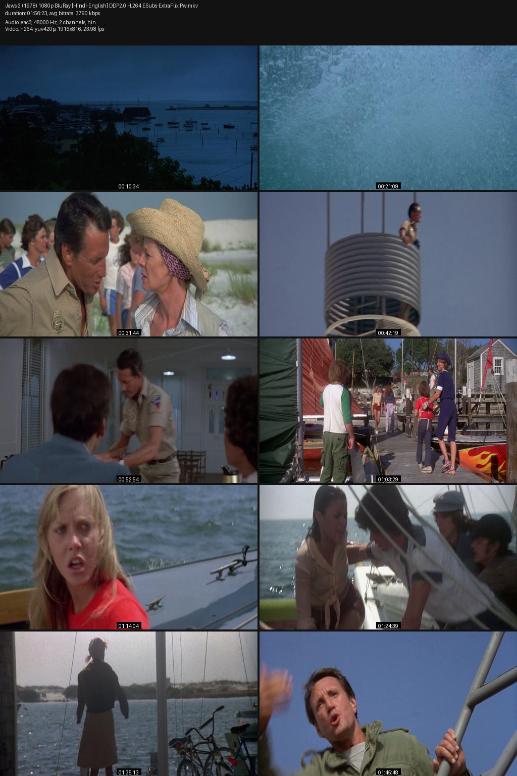 Jaws 2 (1978) [Hindi-English] 1080p 720p 480p BluRay ESubs Screenshots